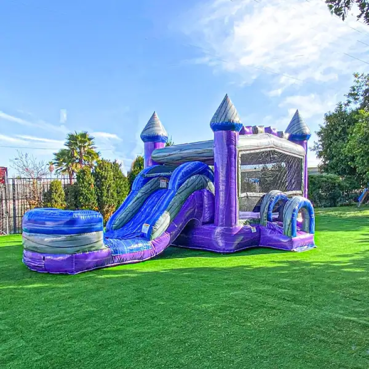 Purple Castle combo (DRY)